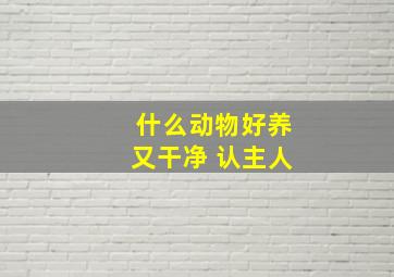 什么动物好养又干净 认主人